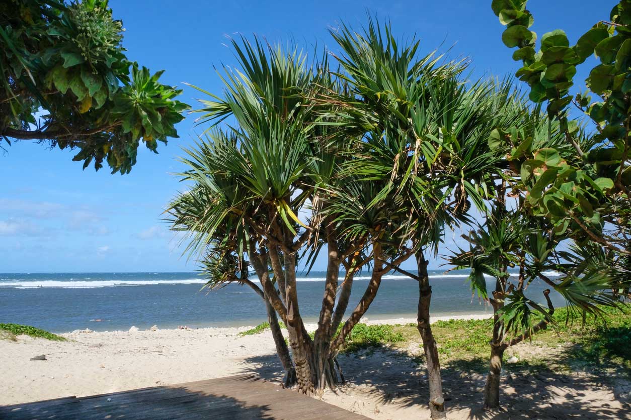 plage de saint pierre reunion