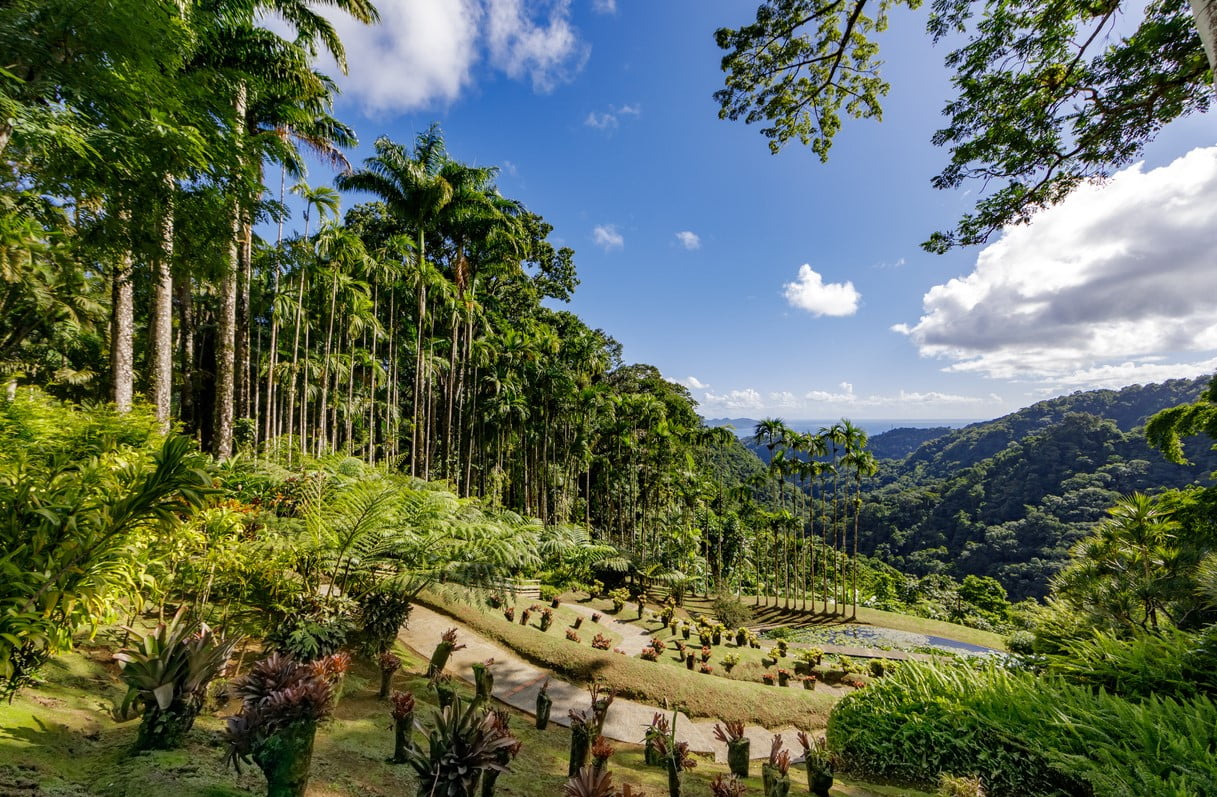Jardin De Balata