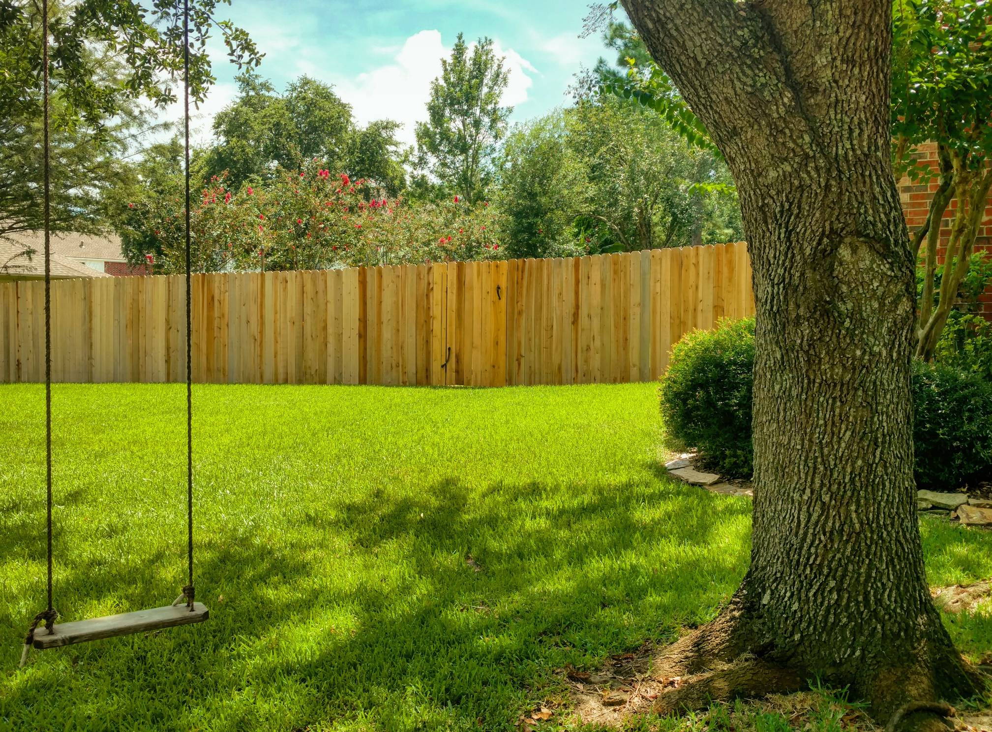 alt = plantez des arbres dans votre jardin