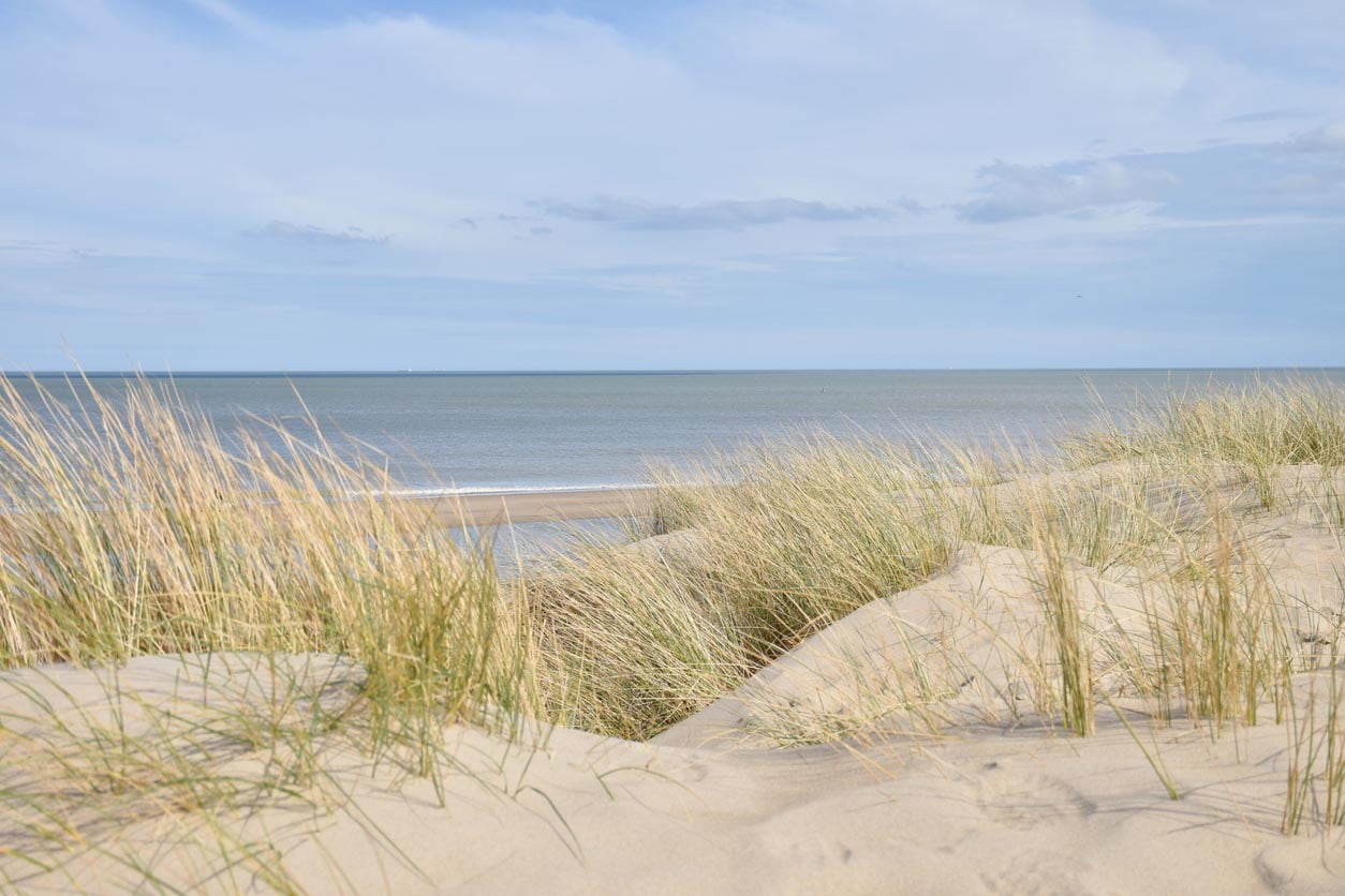 Dunes plage de Dunkerque