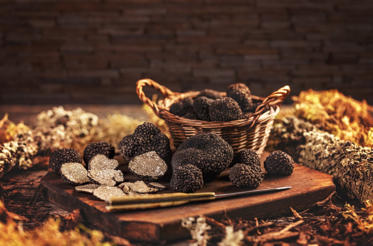Truffe Carcassonne
