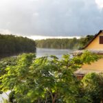 Que Faire En Guyane