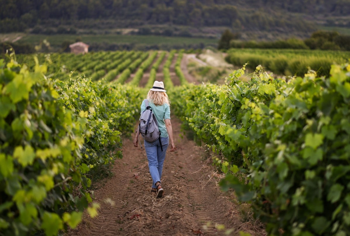 Excursion Vignoble Bordeaux