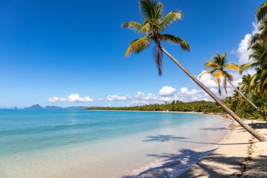 Martinique Liberte Detente Et