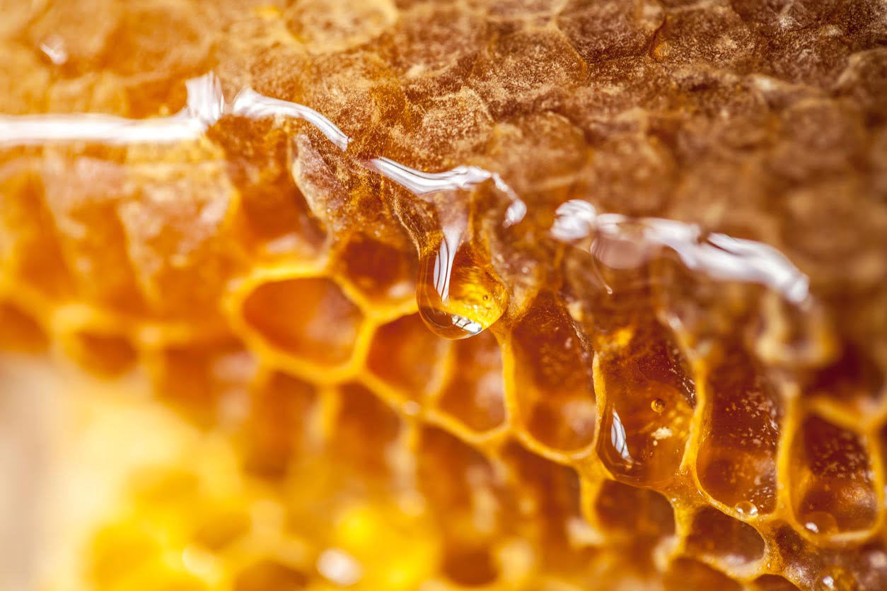 Nid d'abeilles plein de miel