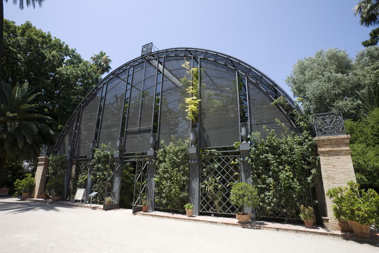Serre du jardin botanique de Valencia