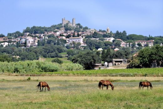 Vue sur Grimaud