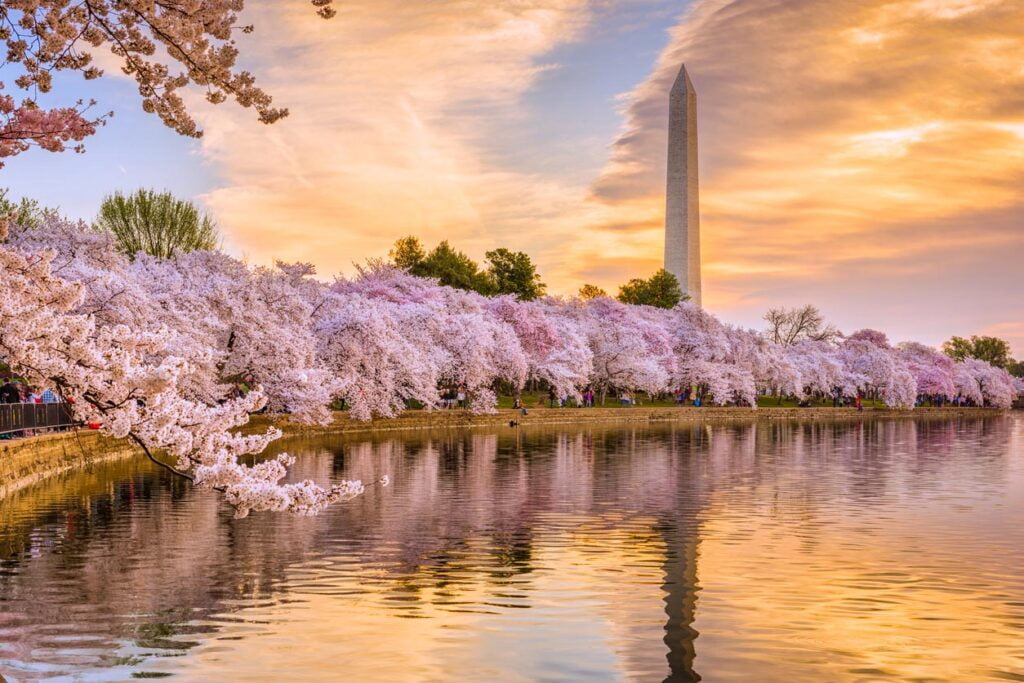 Que faire à Washington DC Les 30 meilleures activités