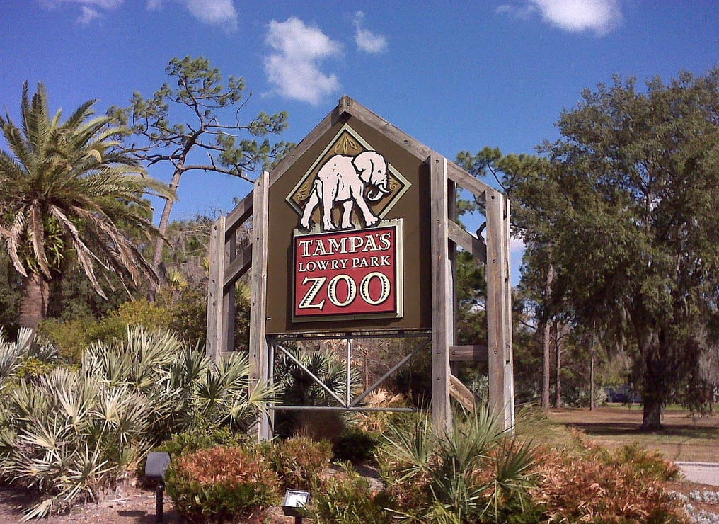 Tampa's Lowry Park Zoo.