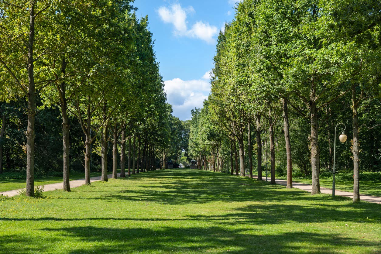 Le jardin de Tiergarten