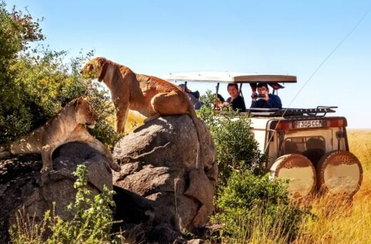 Voyage Afrique Safari
