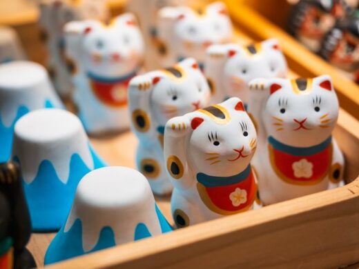 Souvenirs Du Japon