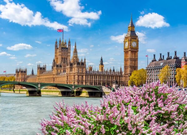 Blooming Tree In Spring In Hyde Park, London, Uk