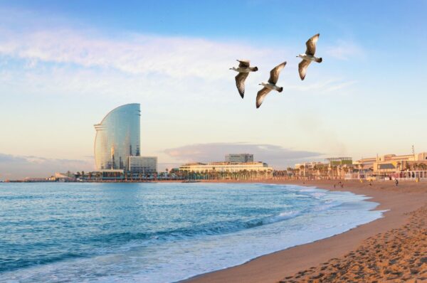 Plage De Barceloneta Barcelone