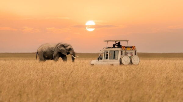 Voyage Au Kenya