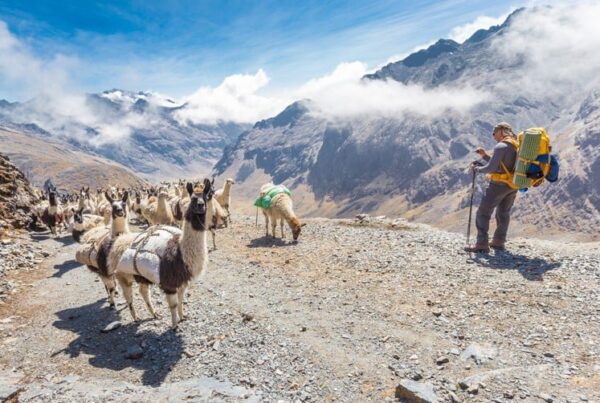 Voyage En Bolivie
