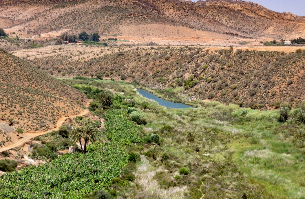 Le Désert De Massa Agadir