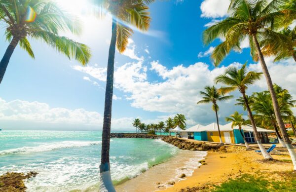 Belle Plage En Guadeloupe