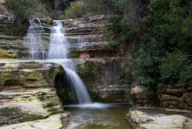 Caledonia Falls Chypre