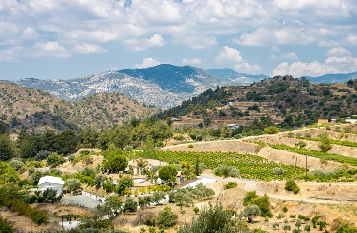 Massif Du Troodos Chypre