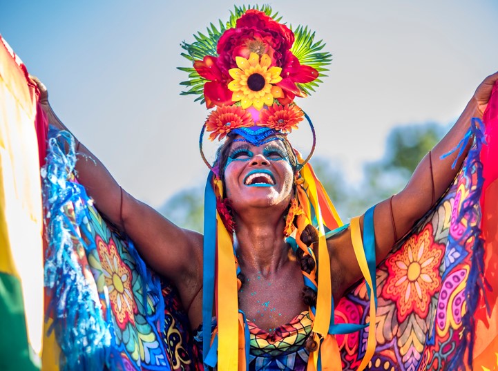 Carnaval De Rio Brésil