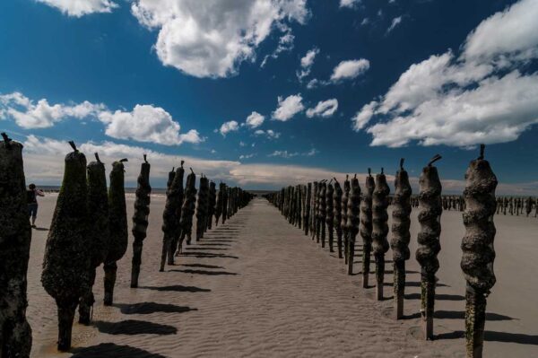 plage de Berck