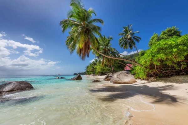 plage de zanzibar