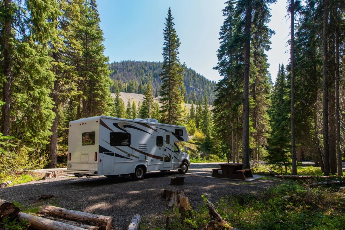 Camping-car stationné au cœur d’une forêt.