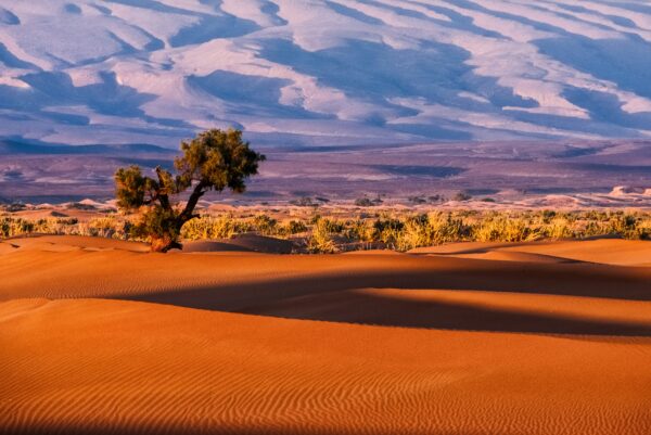 location logement maroc